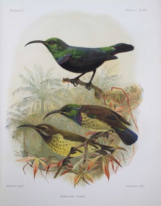 Histoire naturelle des oiseaux de Madagascar.