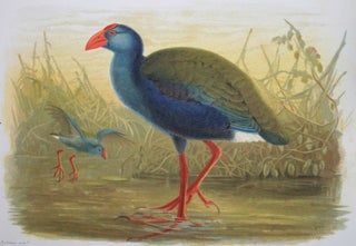 Histoire naturelle des oiseaux de Madagascar.