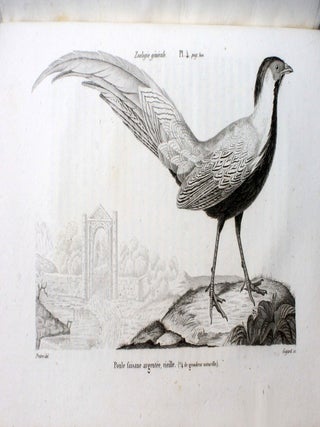 Essais de zoologie g&eacute;n&eacute;rale, ou m&eacute;moires et notices sur la zoologie g&eacute;n&eacute;rale, l'anthropologie, et l'histoire de la science.