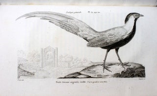 Essais de zoologie générale, ou mémoires et notices sur la zoologie générale, l'anthropologie, et l'histoire de la science.