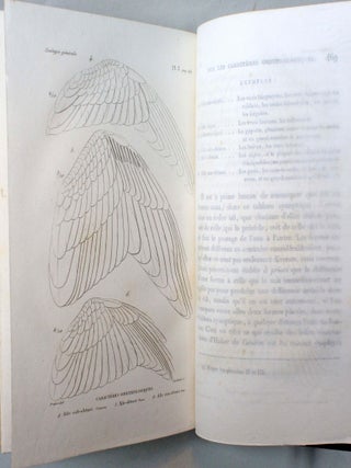 Essais de zoologie g&eacute;n&eacute;rale, ou m&eacute;moires et notices sur la zoologie g&eacute;n&eacute;rale, l'anthropologie, et l'histoire de la science.