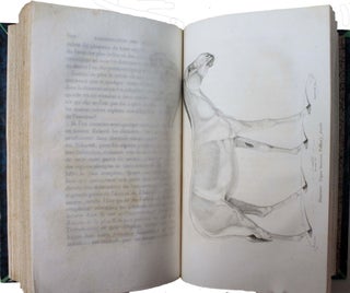 Essais de zoologie générale, ou mémoires et notices sur la zoologie générale, l'anthropologie, et l'histoire de la science.