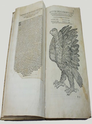 Icones avium omnium quae in historia avium describuntur. I ritratti e le figure de gli ucelli. Les figures & pourtraictz des oiseaux. Die Figuren und contrafacturen der vogelnartzeten maleren goldschmiden zebrauchen.