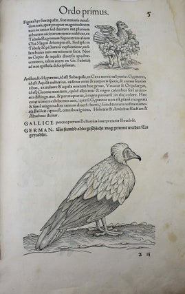 Icones avium omnium quae in historia avium describuntur. I ritratti e le figure de gli ucelli. Les figures & pourtraictz des oiseaux. Die Figuren und contrafacturen der vogelnartzeten maleren goldschmiden zebrauchen.