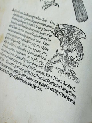 Icones avium omnium quae in historia avium describuntur. I ritratti e le figure de gli ucelli. Les figures & pourtraictz des oiseaux. Die Figuren und contrafacturen der vogelnartzeten maleren goldschmiden zebrauchen.