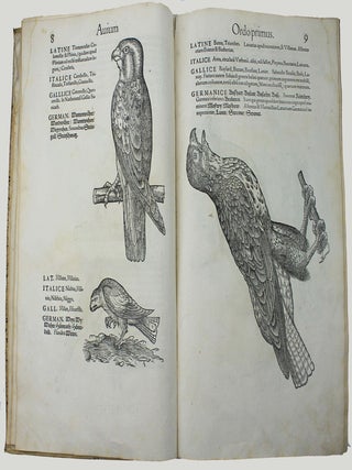 Icones avium omnium quae in historia avium describuntur. I ritratti e le figure de gli ucelli. Les figures & pourtraictz des oiseaux. Die Figuren und contrafacturen der vogelnartzeten maleren goldschmiden zebrauchen.