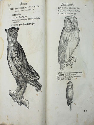 Icones avium omnium quae in historia avium describuntur. I ritratti e le figure de gli ucelli. Les figures & pourtraictz des oiseaux. Die Figuren und contrafacturen der vogelnartzeten maleren goldschmiden zebrauchen.