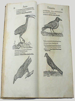 Icones avium omnium quae in historia avium describuntur. I ritratti e le figure de gli ucelli. Les figures & pourtraictz des oiseaux. Die Figuren und contrafacturen der vogelnartzeten maleren goldschmiden zebrauchen.