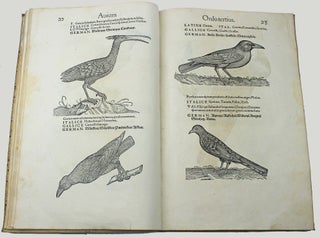 Icones avium omnium quae in historia avium describuntur. I ritratti e le figure de gli ucelli. Les figures & pourtraictz des oiseaux. Die Figuren und contrafacturen der vogelnartzeten maleren goldschmiden zebrauchen.