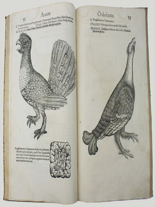 Icones avium omnium quae in historia avium describuntur. I ritratti e le figure de gli ucelli. Les figures & pourtraictz des oiseaux. Die Figuren und contrafacturen der vogelnartzeten maleren goldschmiden zebrauchen.