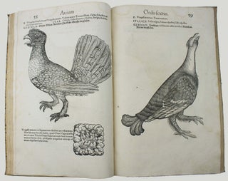 Icones avium omnium quae in historia avium describuntur. I ritratti e le figure de gli ucelli. Les figures & pourtraictz des oiseaux. Die Figuren und contrafacturen der vogelnartzeten maleren goldschmiden zebrauchen.