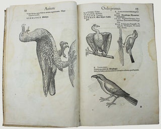 Icones avium omnium quae in historia avium describuntur. I ritratti e le figure de gli ucelli. Les figures & pourtraictz des oiseaux. Die Figuren und contrafacturen der vogelnartzeten maleren goldschmiden zebrauchen.