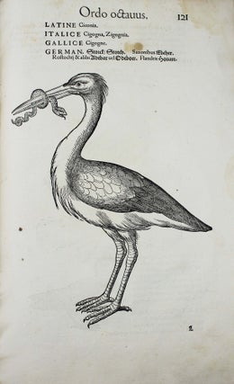 Icones avium omnium quae in historia avium describuntur. I ritratti e le figure de gli ucelli. Les figures & pourtraictz des oiseaux. Die Figuren und contrafacturen der vogelnartzeten maleren goldschmiden zebrauchen.
