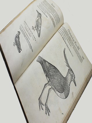 Icones avium omnium quae in historia avium describuntur. I ritratti e le figure de gli ucelli. Les figures & pourtraictz des oiseaux. Die Figuren und contrafacturen der vogelnartzeten maleren goldschmiden zebrauchen.