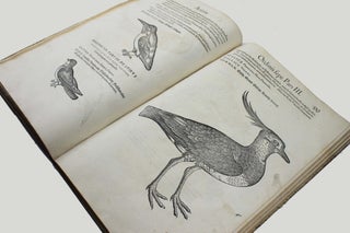 Icones avium omnium quae in historia avium describuntur. I ritratti e le figure de gli ucelli. Les figures & pourtraictz des oiseaux. Die Figuren und contrafacturen der vogelnartzeten maleren goldschmiden zebrauchen.