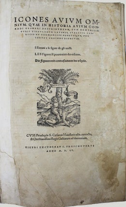 Icones avium omnium quae in historia avium describuntur. I ritratti e le figure de gli ucelli. Les figures & pourtraictz des oiseaux. Die Figuren und contrafacturen der vogelnartzeten maleren goldschmiden zebrauchen.