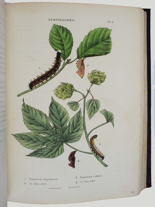 Collection iconographique et historique des chenilles, ou description et figures des chenilles d'Europe, avec l'histoire de leurs métamorphoses, et des applications à l'agriculture.