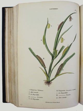 Collection iconographique et historique des chenilles, ou description et figures des chenilles d'Europe, avec l'histoire de leurs métamorphoses, et des applications à l'agriculture.
