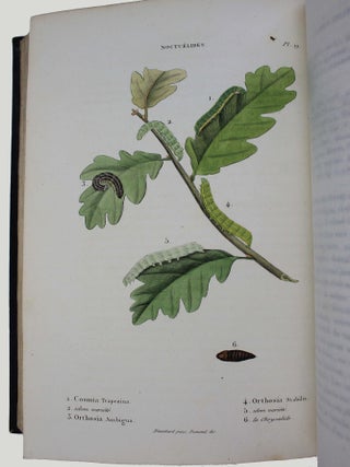 Collection iconographique et historique des chenilles, ou description et figures des chenilles d'Europe, avec l'histoire de leurs métamorphoses, et des applications à l'agriculture.