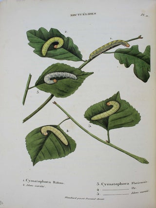 Collection iconographique et historique des chenilles, ou description et figures des chenilles d'Europe, avec l'histoire de leurs métamorphoses, et des applications à l'agriculture.
