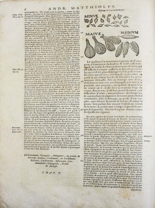 Les commentaires de M. P. Andr&eacute; Matthiolus m&eacute;decin senois, sur les six livres de Pedacius Dioscoride Anazerbeen de la mati&egrave;re medecinale.