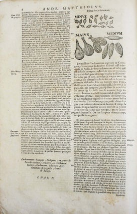 Les commentaires de M. P. André Matthiolus médecin senois, sur les six livres de Pedacius Dioscoride Anazerbeen de la matière medecinale.