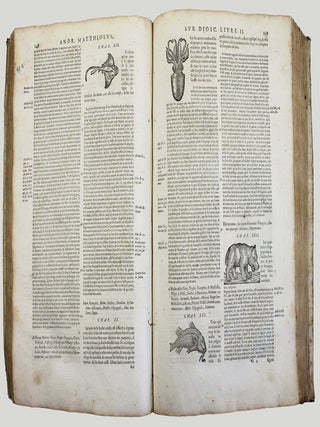 Les commentaires de M. P. Andr&eacute; Matthiolus m&eacute;decin senois, sur les six livres de Pedacius Dioscoride Anazerbeen de la mati&egrave;re medecinale.