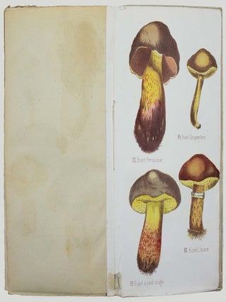 Des principaux champignons comestibles et vénéneux de la flore limousine suivi d’un précis des moyens à employer dans les cas d'empoisonnement par les champignons.