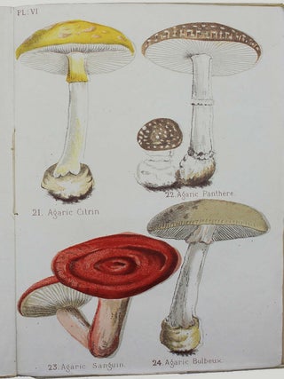 Des principaux champignons comestibles et vénéneux de la flore limousine suivi d’un précis des moyens à employer dans les cas d'empoisonnement par les champignons.