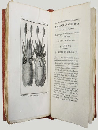 Histoire naturelle g&eacute;n&eacute;rale et particuli&egrave;re des mollusques, animaux sans vert&egrave;bres et &agrave; sang blanc. Ouvrage faisant suite aux oeuvres de Leclerc de Buffon.