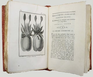 Histoire naturelle générale et particulière des mollusques, animaux sans vertèbres et à sang blanc. Ouvrage faisant suite aux oeuvres de Leclerc de Buffon.