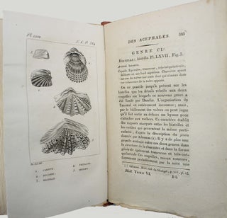 Histoire naturelle générale et particulière des mollusques, animaux sans vertèbres et à sang blanc. Ouvrage faisant suite aux oeuvres de Leclerc de Buffon.
