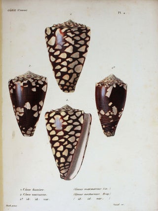 Spécies général et iconographie des coquilles vivantes comprenant la collection du Muséum d'Histoire naturelle de Paris, la collection Lamarck, celle du prince Masséna et les découvertes récentes des voyageurs.