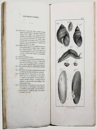 Description des mollusques fluviatiles et terrestres du département de l'Isère.