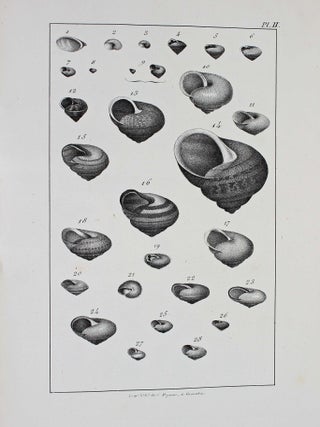 Description des mollusques fluviatiles et terrestres du département de l'Isère.
