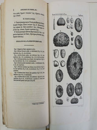 Item #18322 Description des oursins fossiles du département de l'Isère, précédée de notions...
