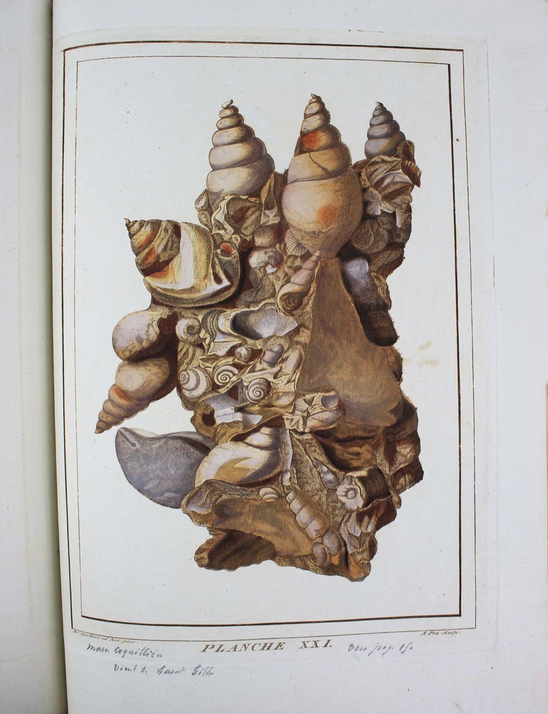 Item #18400 Oryctographie de Bruxelles, ou description des fossiles tant naturels qu'accidentels d&eacute;couverts jusqu'&agrave; ce jour dans les environs de cette ville. Fran&ccedil;ois-Xavier BURTIN.