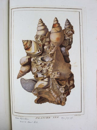 Item #18400 Oryctographie de Bruxelles, ou description des fossiles tant naturels...