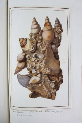 Item #18400 Oryctographie de Bruxelles, ou description des fossiles tant naturels...