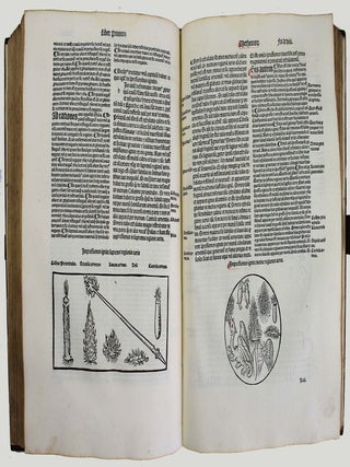 Textus abbreviatus in cursum totius physices et metaphysicorum Aristotelis. [suivi de : ] Georgius Bruxellensis. Quaestiones super naturalem philosophiam Aristotelis. Quaestiones sex librorum Metaphysices pro ritu Parisiorum Academiae.