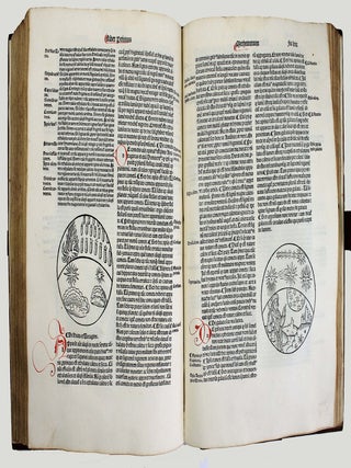 Textus abbreviatus in cursum totius physices et metaphysicorum Aristotelis. [suivi de : ] Georgius Bruxellensis. Quaestiones super naturalem philosophiam Aristotelis. Quaestiones sex librorum Metaphysices pro ritu Parisiorum Academiae.
