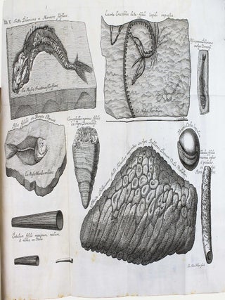 Piscium querelae et vindiciae. Johann Jacob SCHEUCHZER.