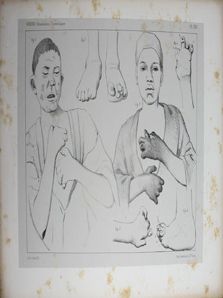 Egypte et Palestine, observations médicales et scientifiques.
