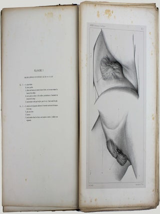 Egypte et Palestine, observations médicales et scientifiques.