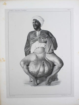Egypte et Palestine, observations médicales et scientifiques.