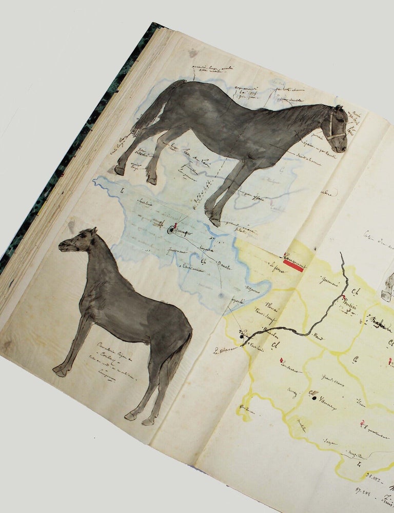 Item #18782 Races chevalines de France. CHEVAL.