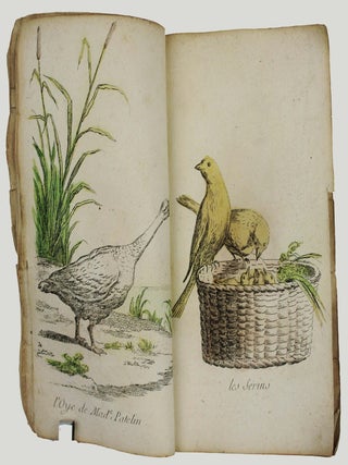 Nouvel ambigu magique ou second tome des tableaux changeans &agrave; l'usage de ceux qui n'ont pas berlue.