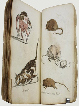 Nouvel ambigu magique ou second tome des tableaux changeans &agrave; l'usage de ceux qui n'ont pas berlue.