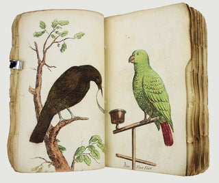 Nouvel ambigu magique ou second tome des tableaux changeans à l'usage de ceux qui n'ont pas berlue.
