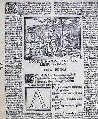 Item #18883 Amorum libri tres. De medicamine faciei libellus et nux. Infinitis pene erroribus e...